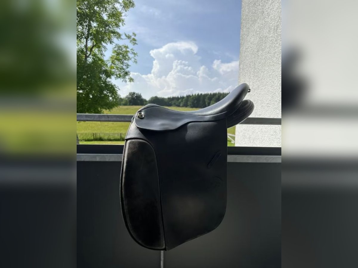 Islandpferde Sattel Ástund Super