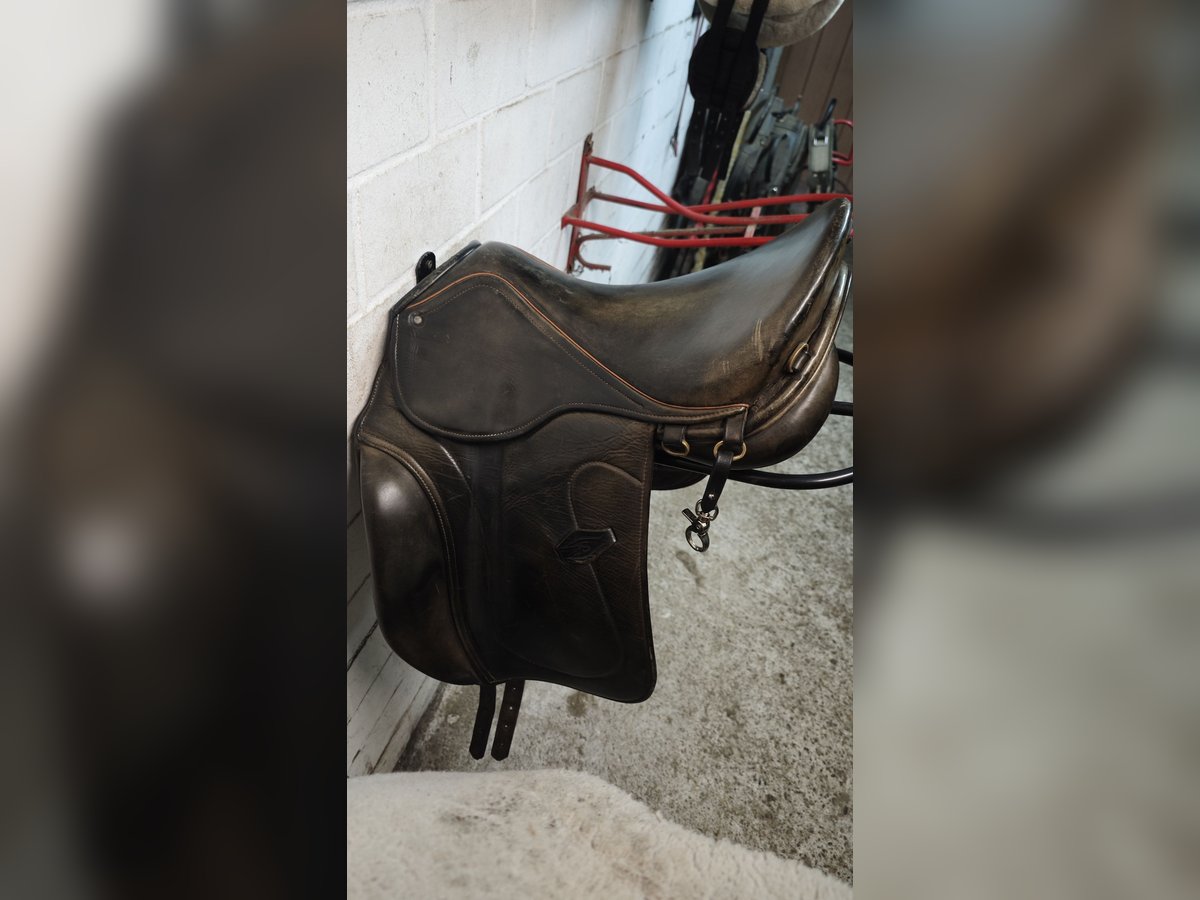 Islandpferdesattel von PS Gangpferdesattel