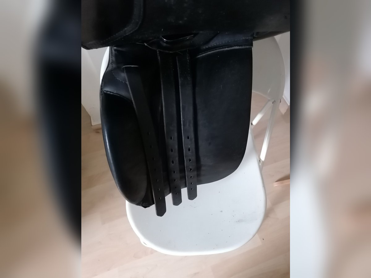 Islandsattel Töltsattel SK Isländer Isi Sattel