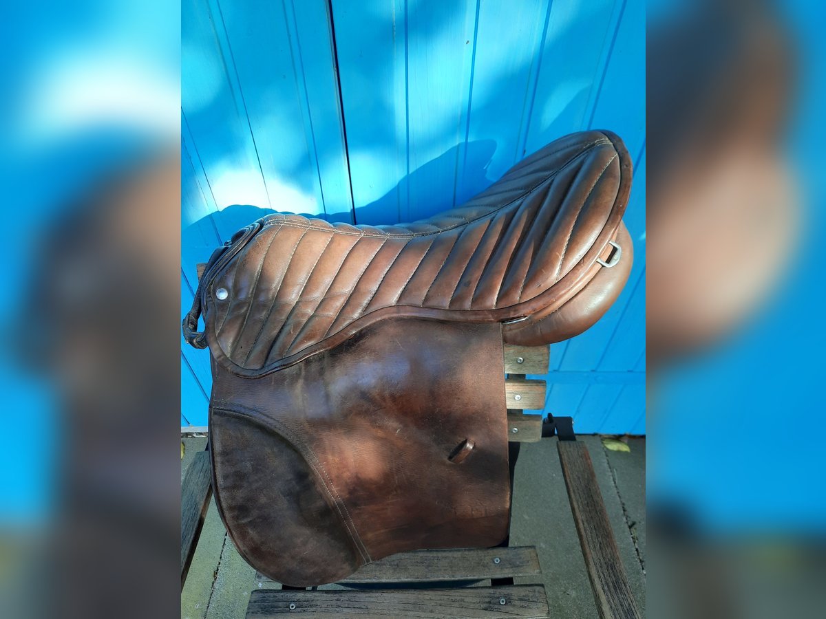 Tölt Sattel von Goertz Tölt Sattel von Goertz