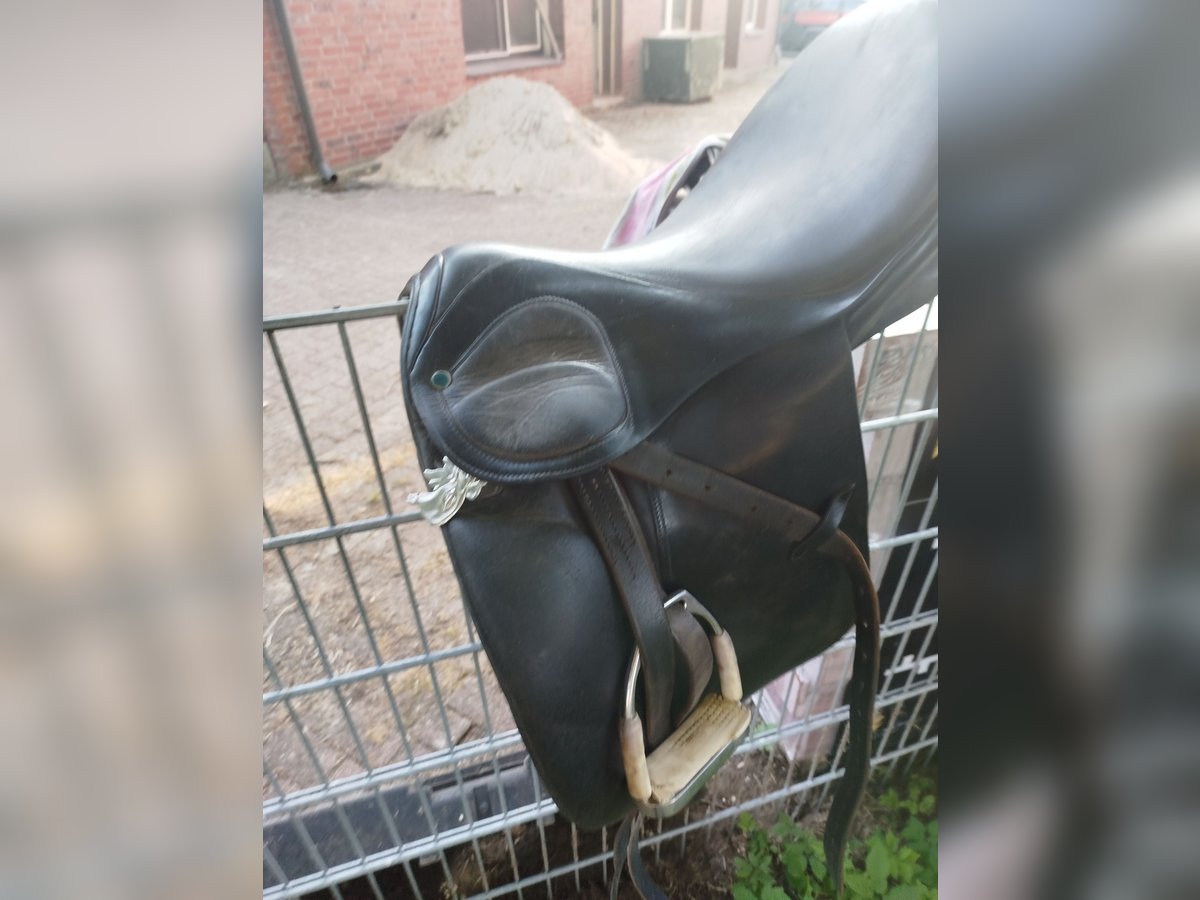 Pony Dressur Sattel stübben 
