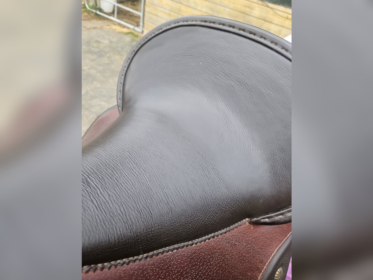 Deuber & Partner Barocksattel El Campo S2