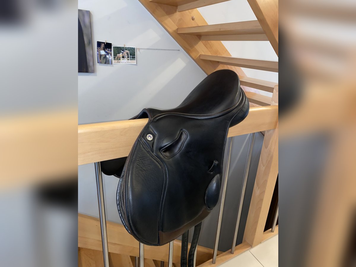 Butterfly Springsattel 17 Zoll Sandra Millitary 2