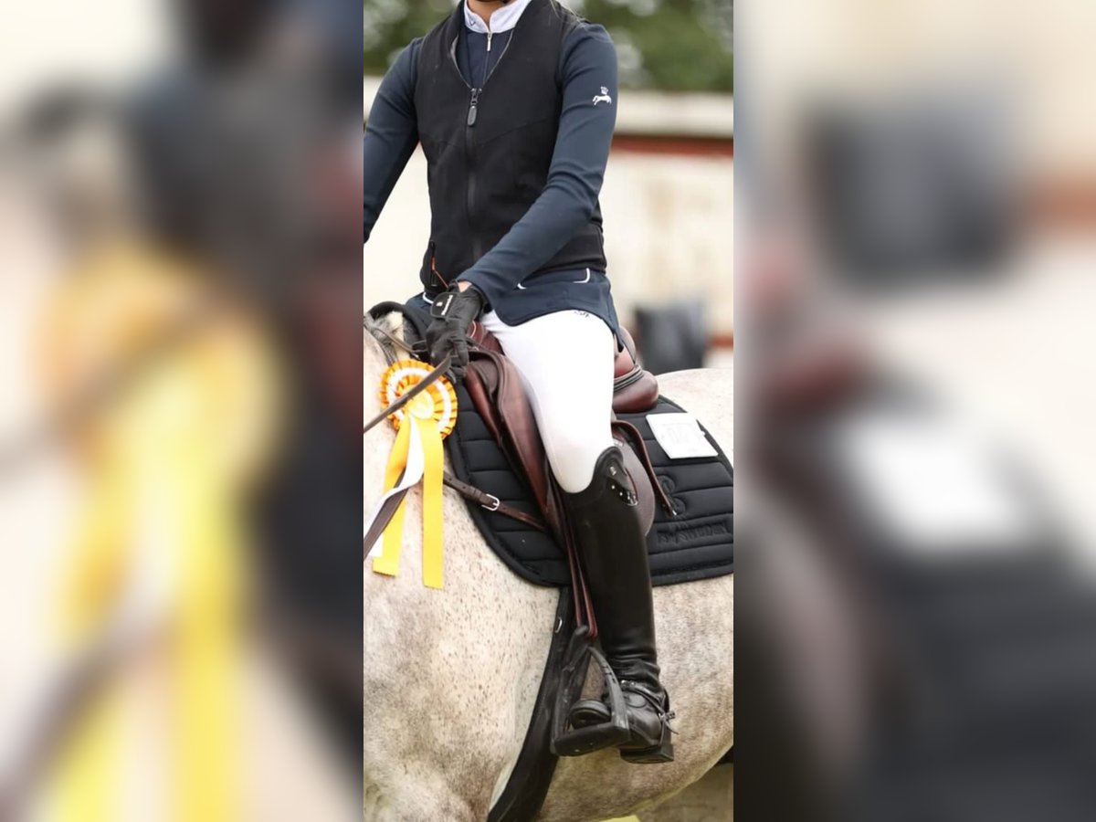 CWD Mademoiselle 2GS  S32