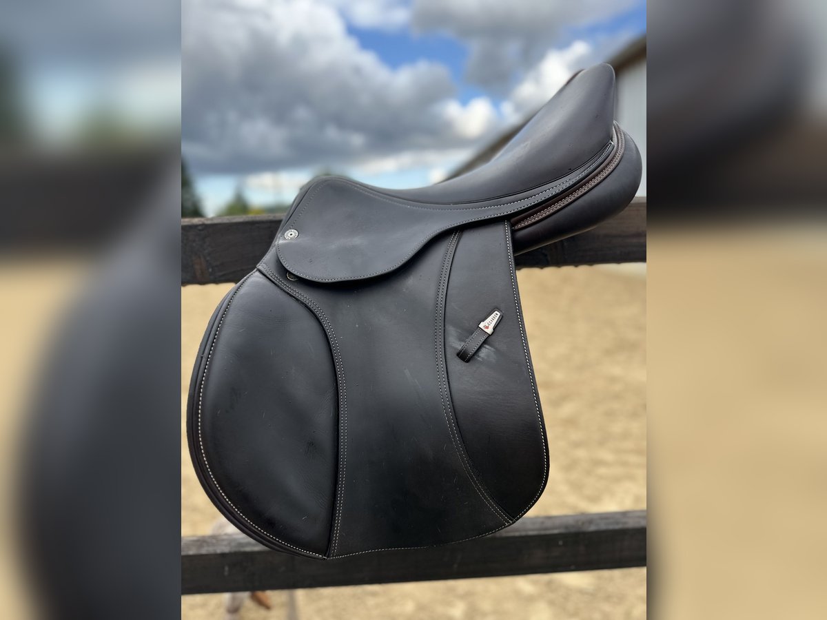 EK EVOLUTION EQUIPE SPRINGSATTEL AUS CARBON