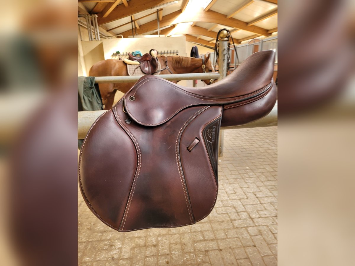 Equiline Springsattel Marque 