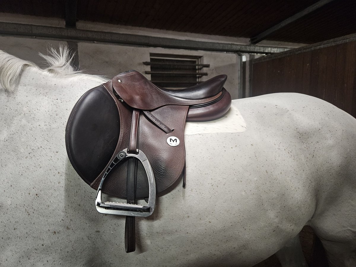 Meyer Sellerie Springsattel (ähnlich CWD /Amerigo)