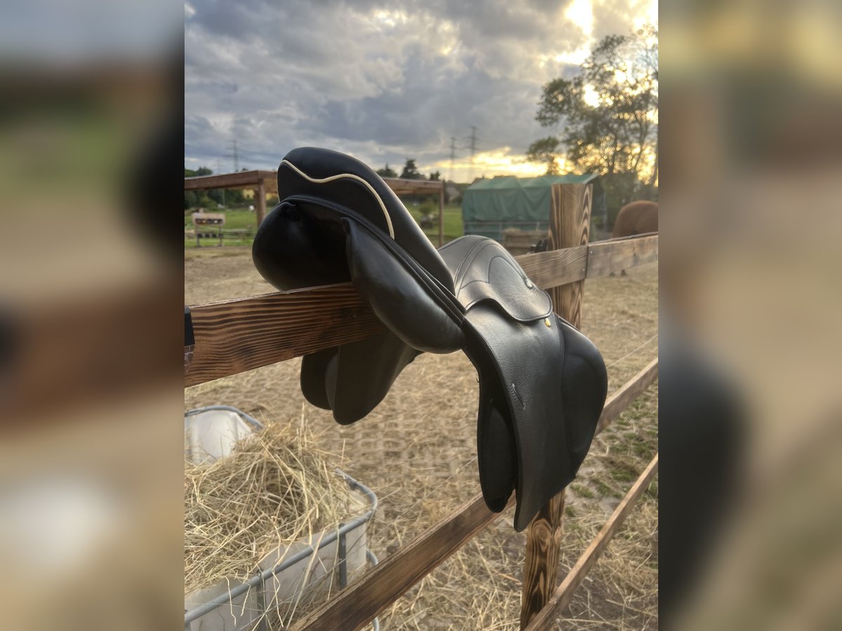 Prestige Joy Jumper Springsattel