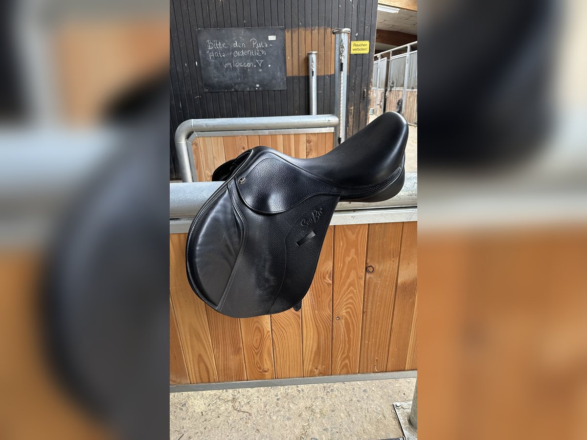 SeaBis spring Sattel 