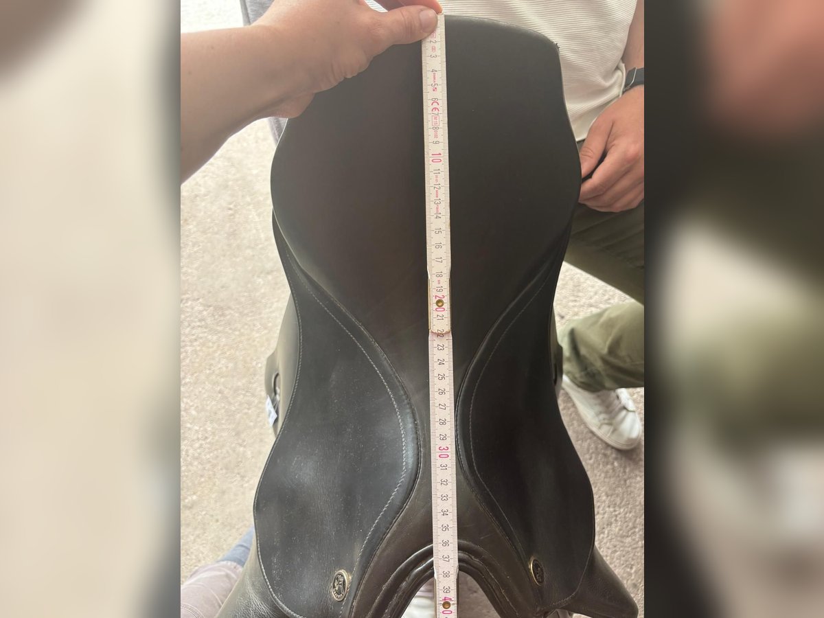 Springsattel von Kiefer 