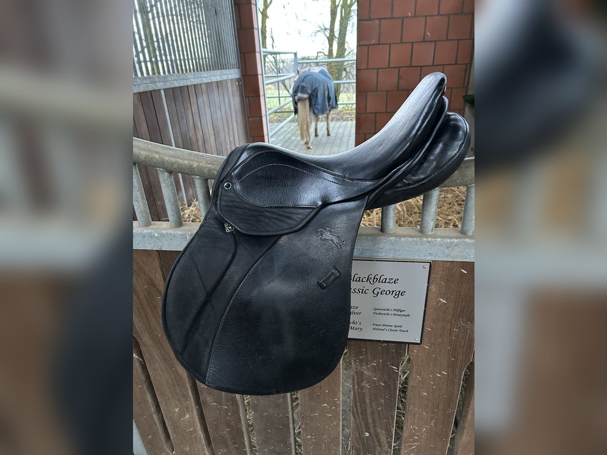 Top Stübben Laurus Pony Springsattel 16“ Kindersattel
