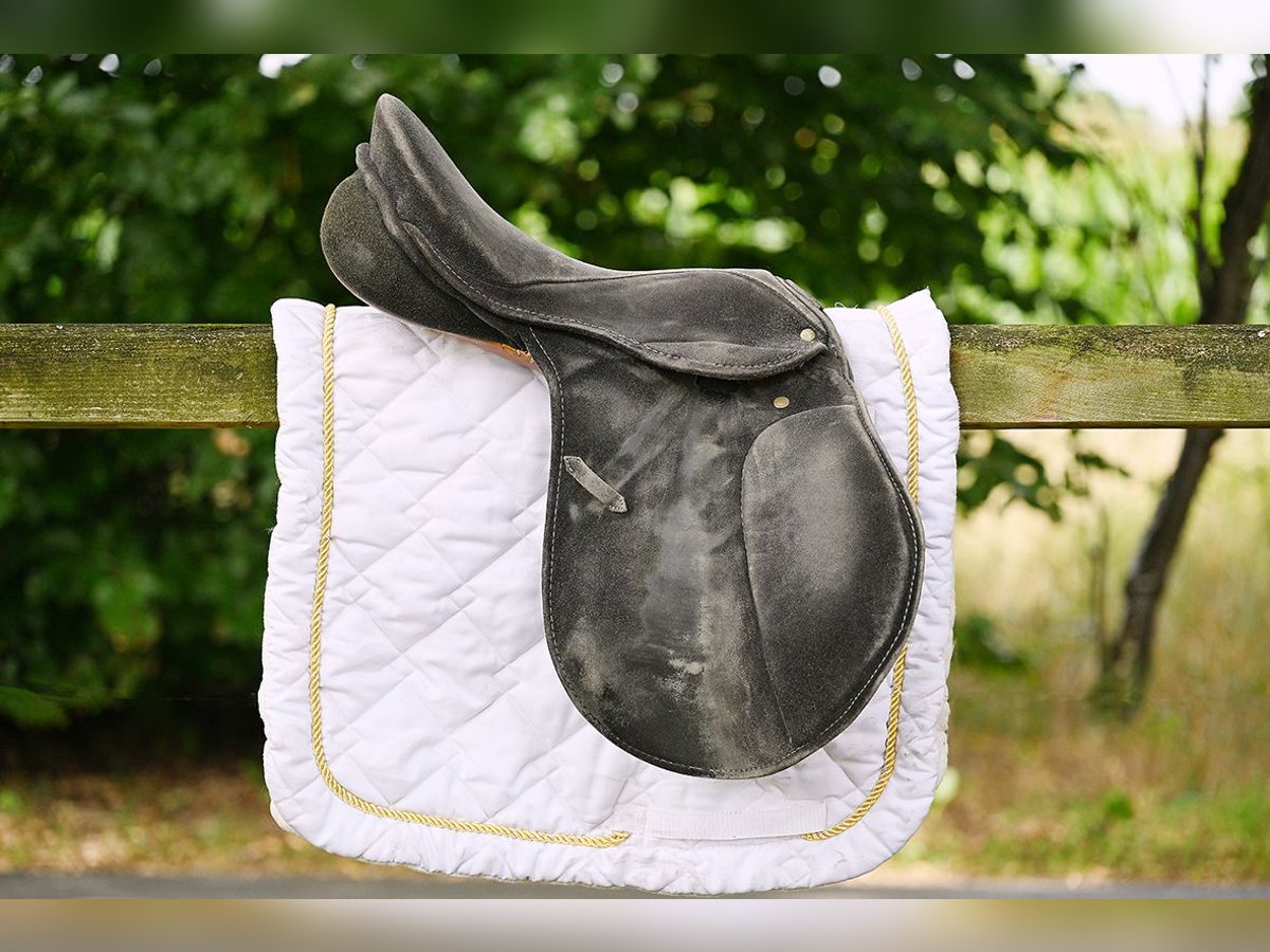 UBO Springsattel - Wildleder, Dornschließe, S-Gurt, Springsattel