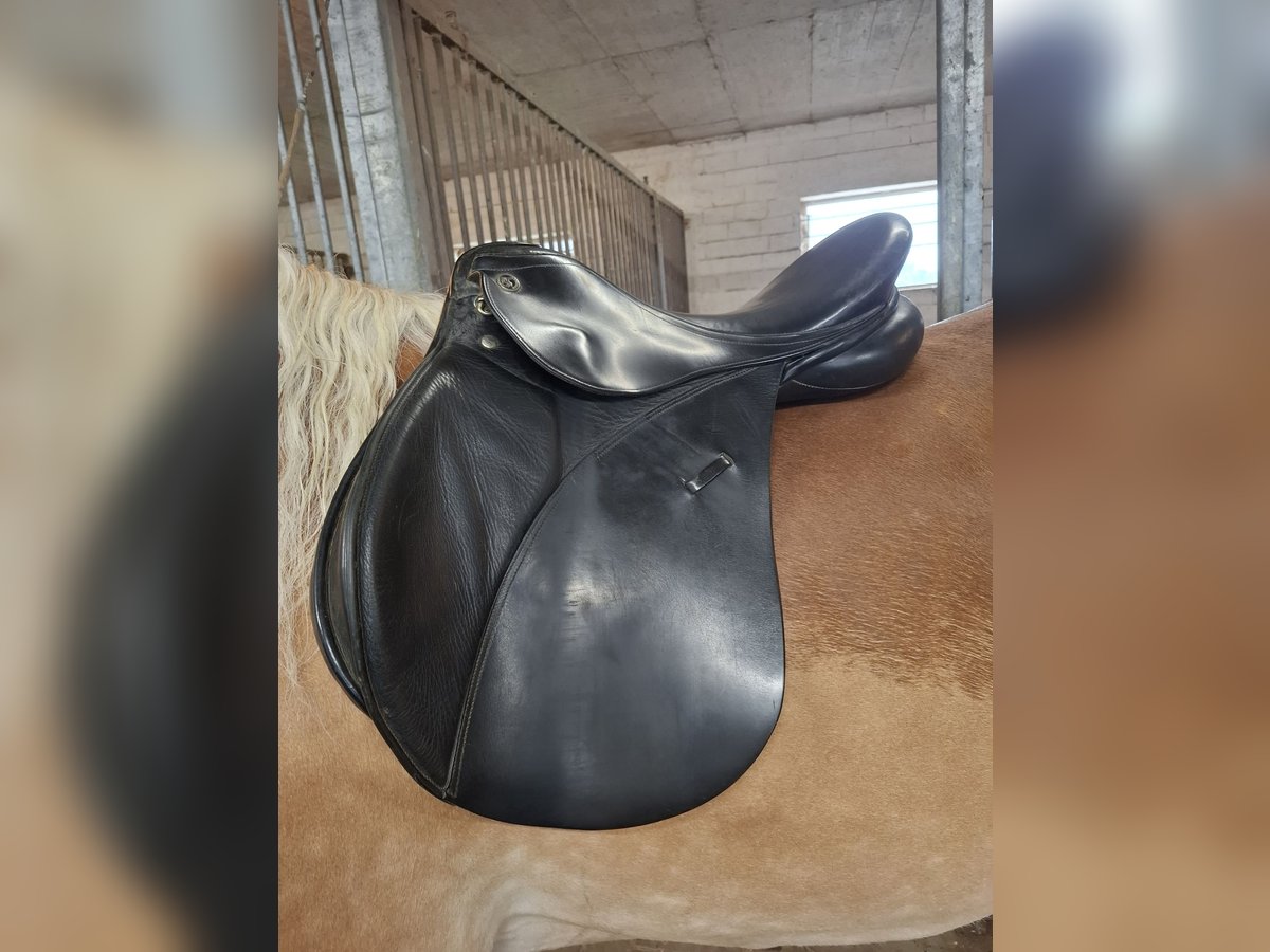 17" Vielseitigkeits Sattel 