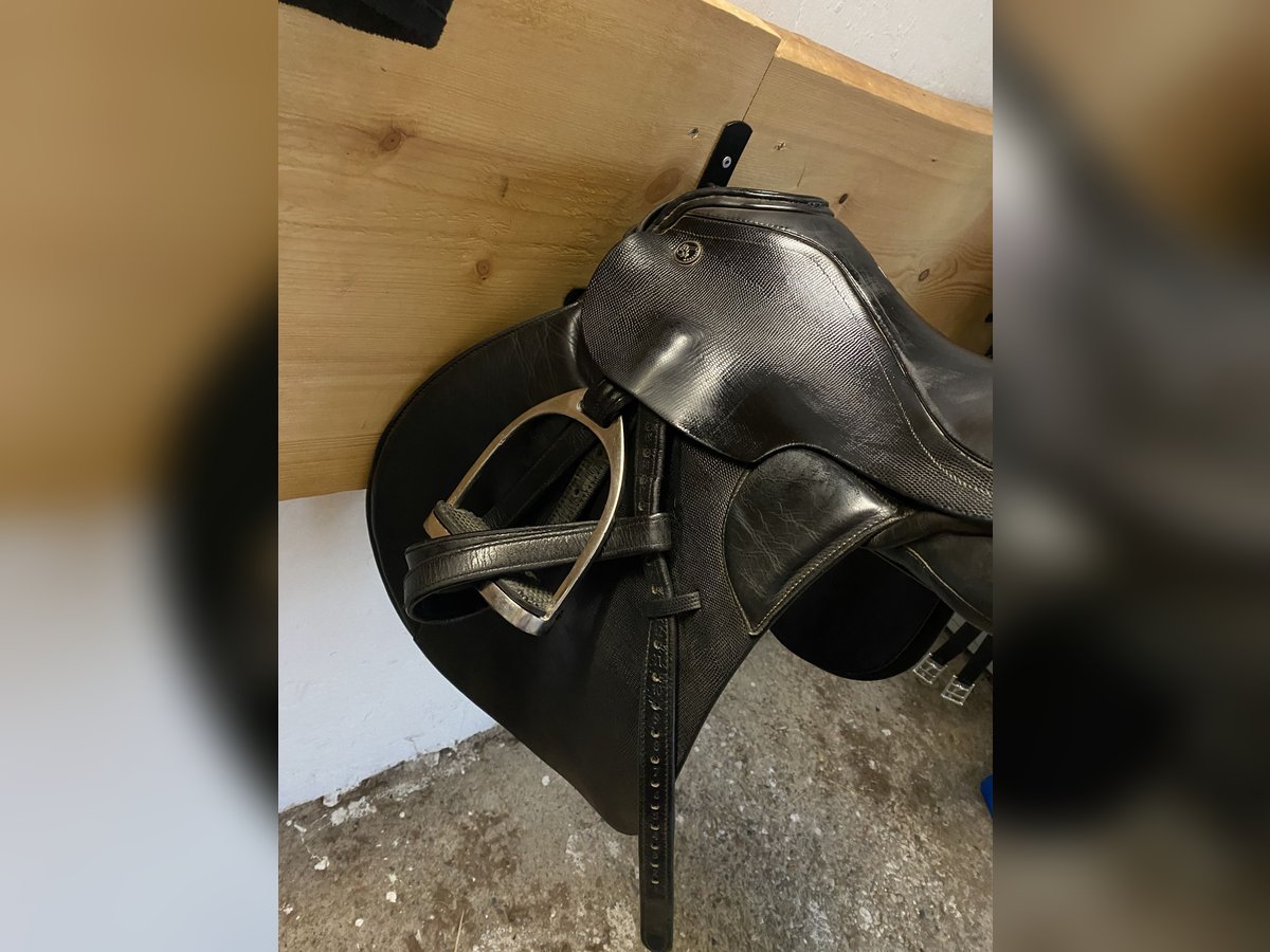 Kiefer Vielseitigkeitssattel 17,5 Zoll