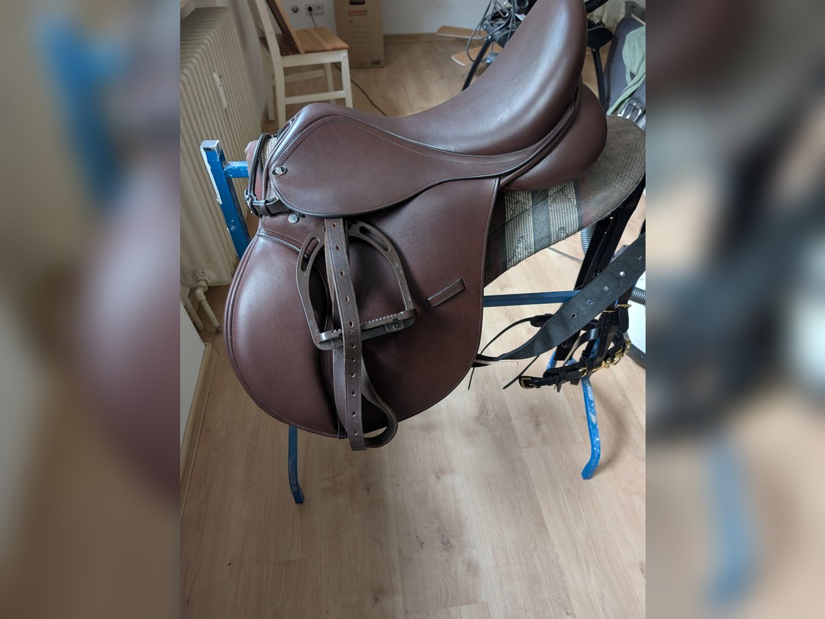 Leder Vielseitigkeitssattel 17,5