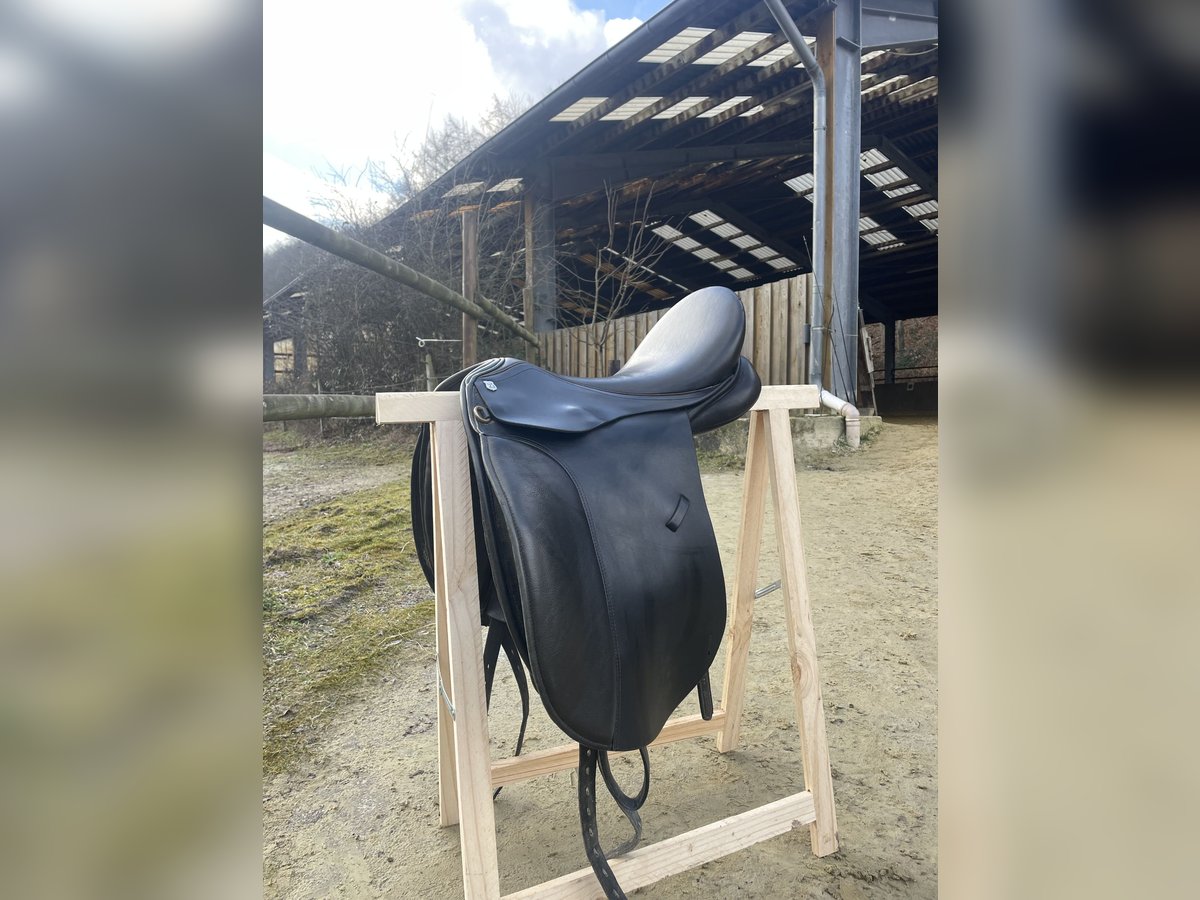 MASSIMO VS SATTEL 17.5 ZOLL WIE NEU ‼️