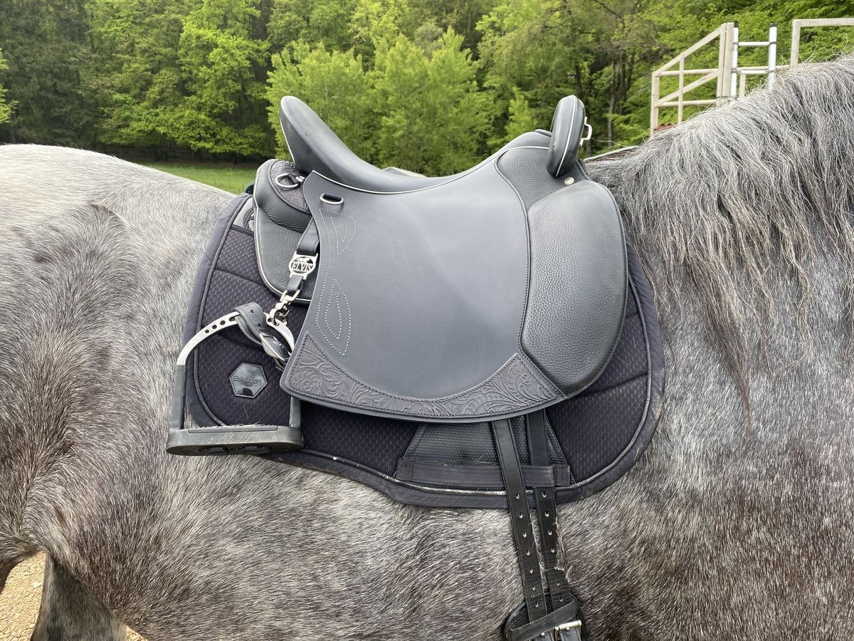 Sommer Salvadore Sattel Noriker Kaltblut 33 Kammer schwarz 18,5