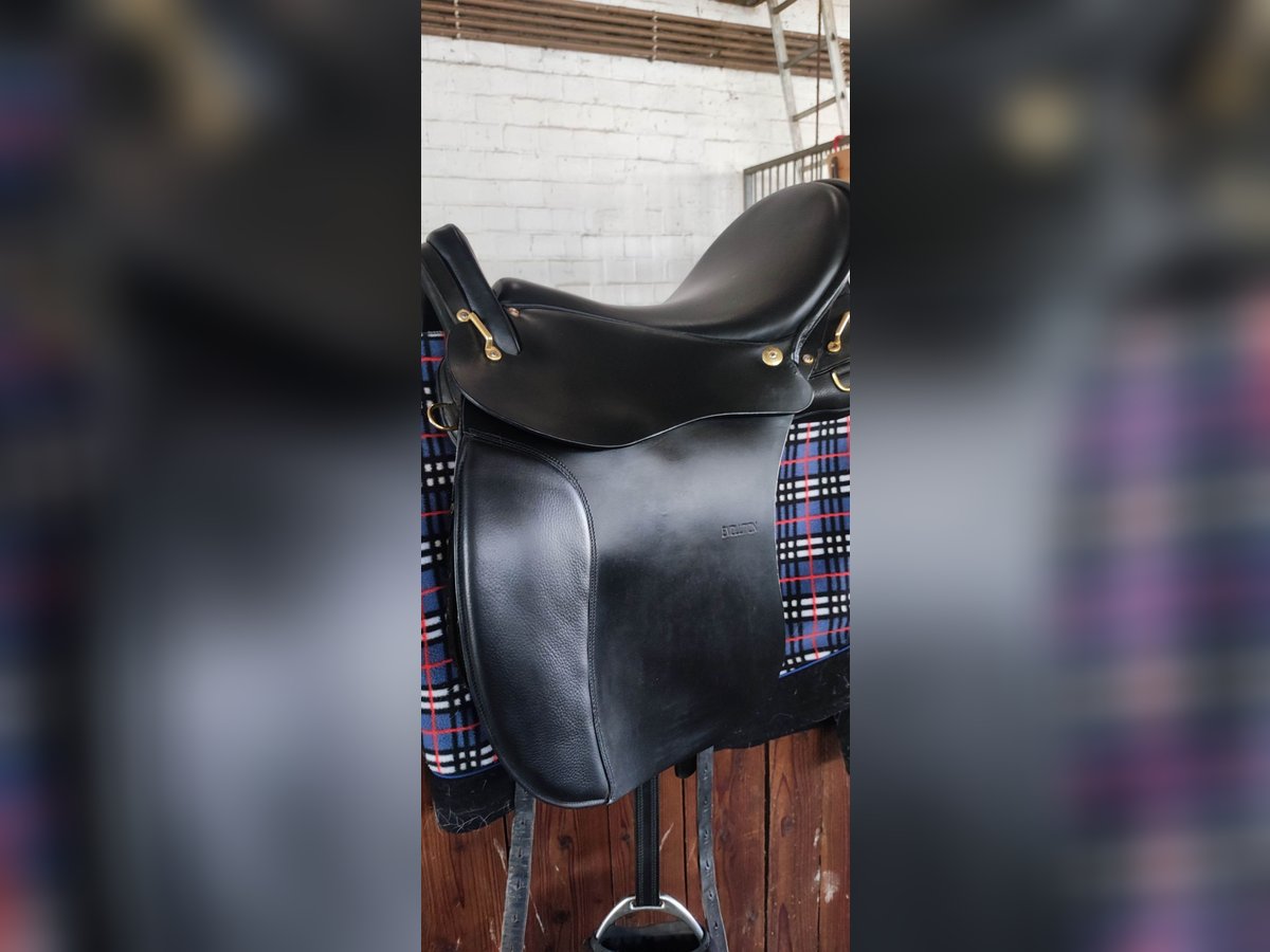 Top gepflegter Sommer Wanderreitsattel Evolution Dressur 