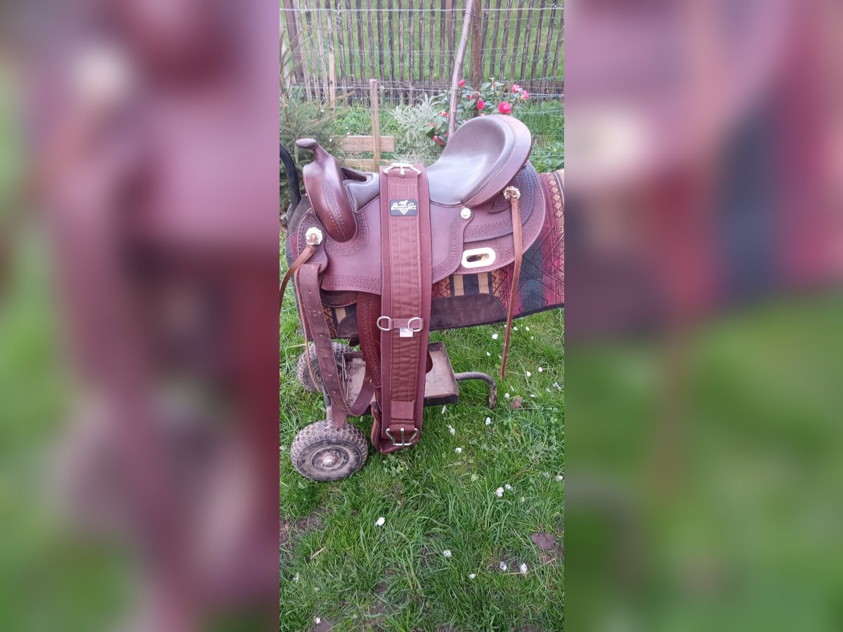 baumloser Westernsattel