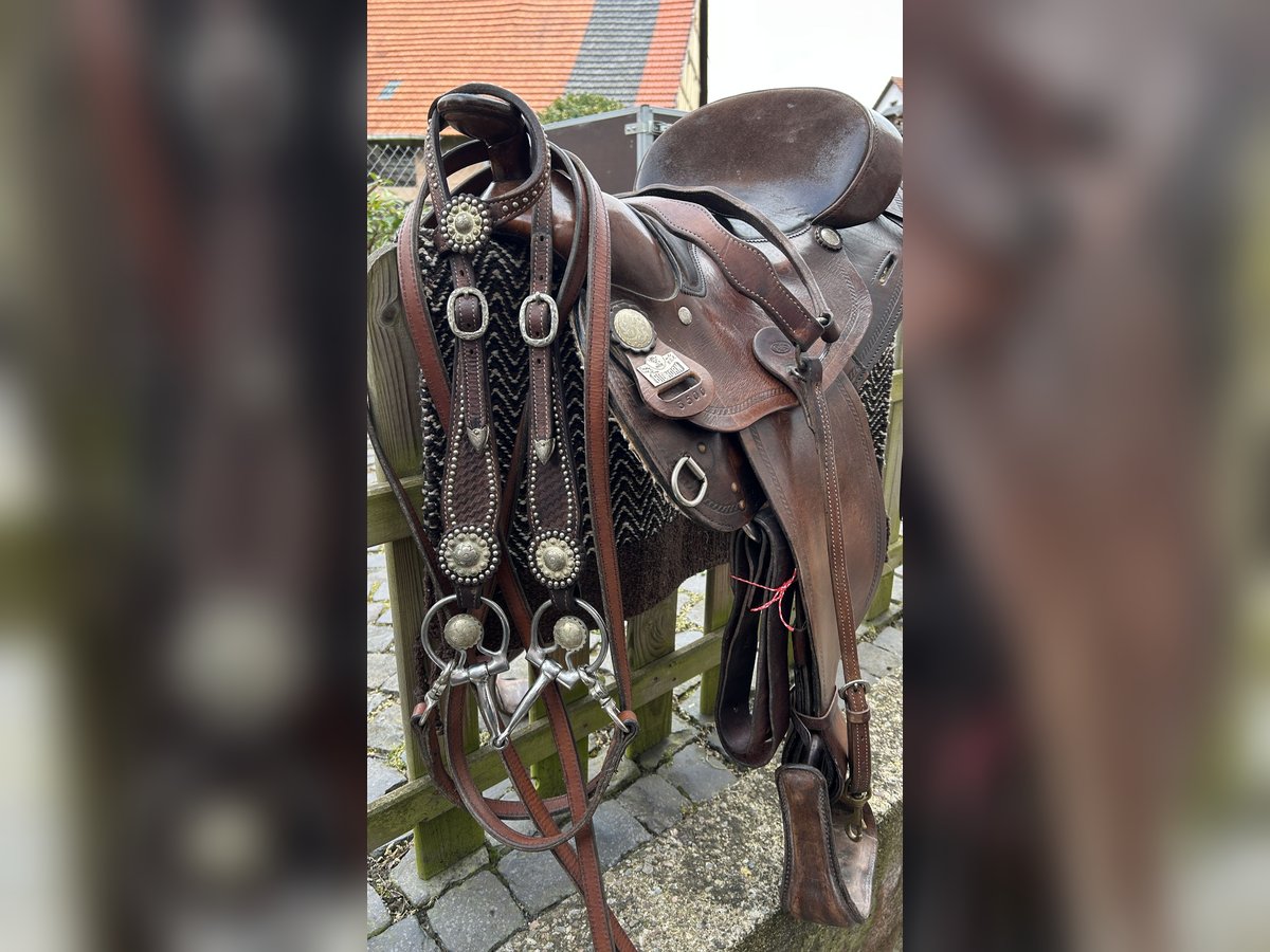Big Horn Sattel Roundskirt für breite Pferde auch als Set
