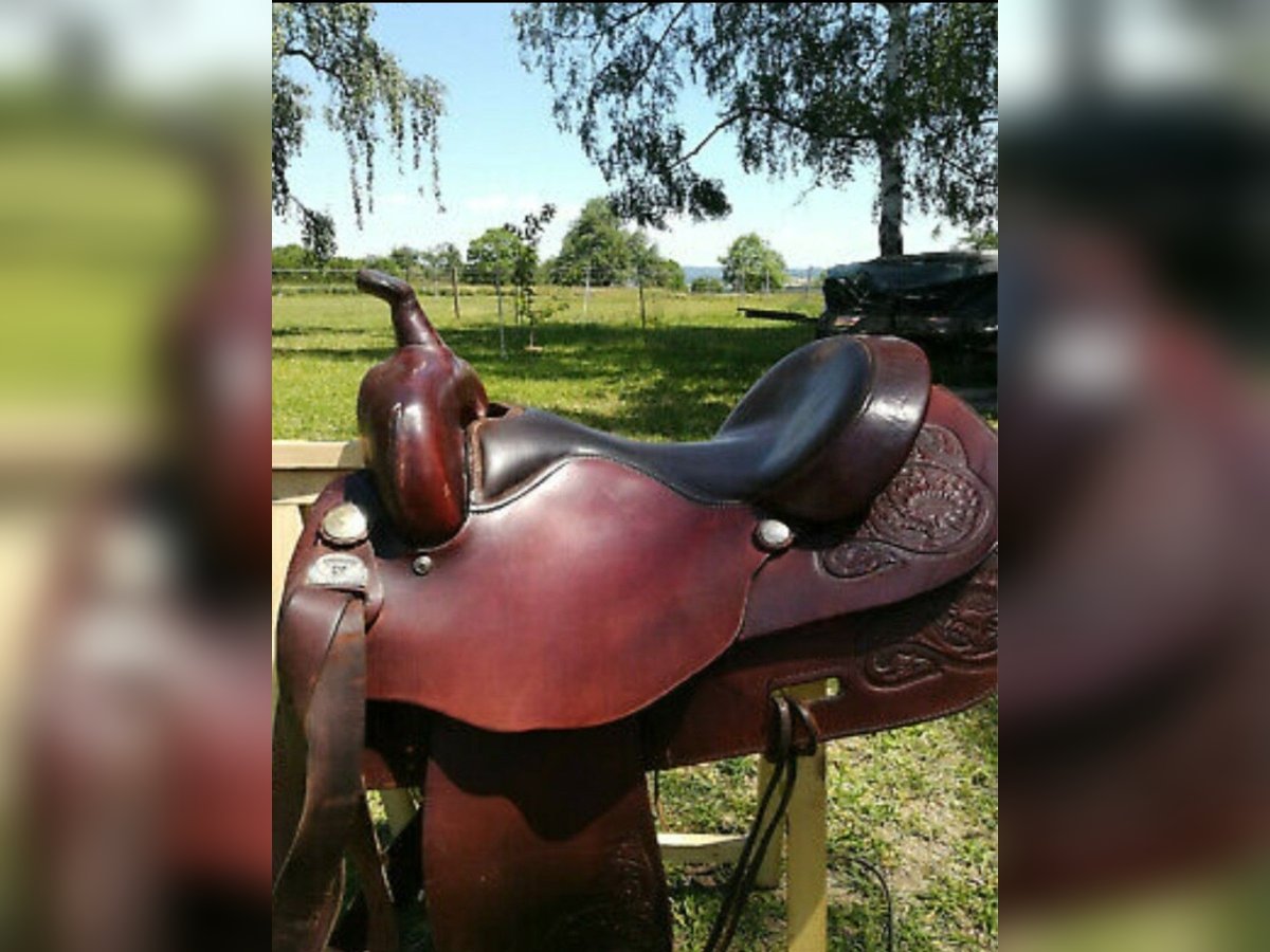 Big Horn Westernsattel