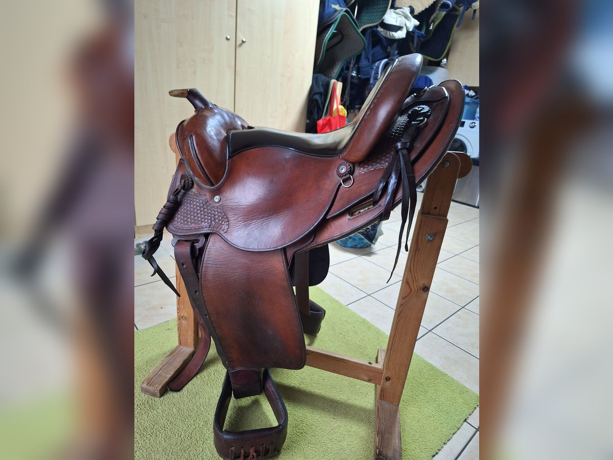 Circle Y Equitation