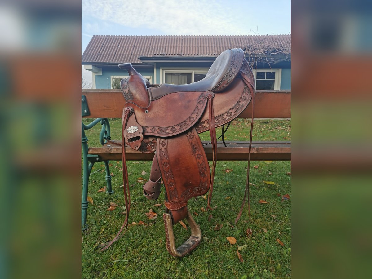 Deuber & Partner Trailrider