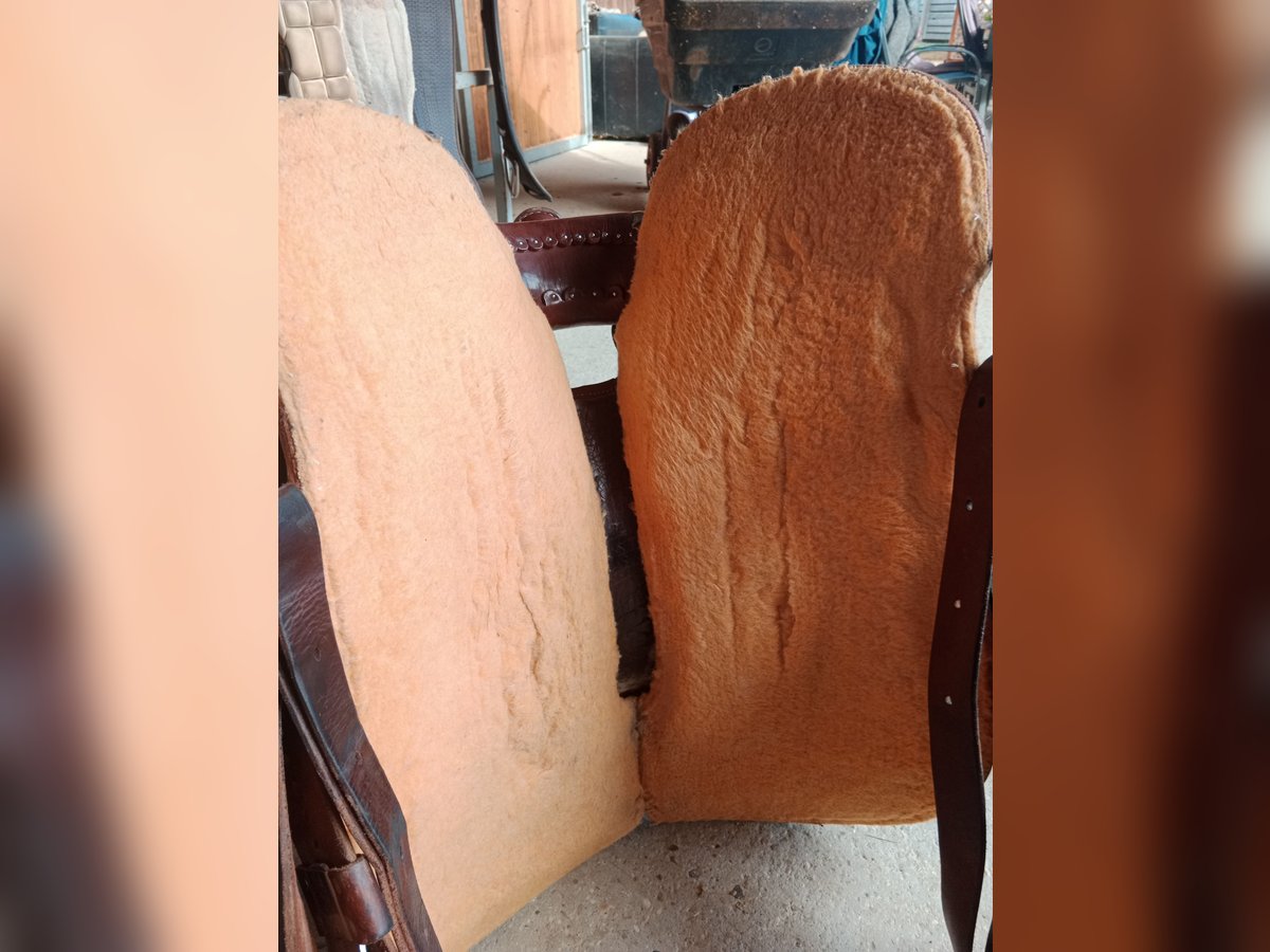 Diamond C, neuwertig 