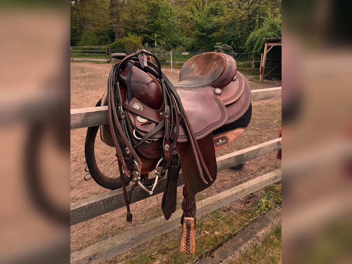 Diamond C Westernsattel – Holzbaum – Top Zustand – inkl. Zubehör