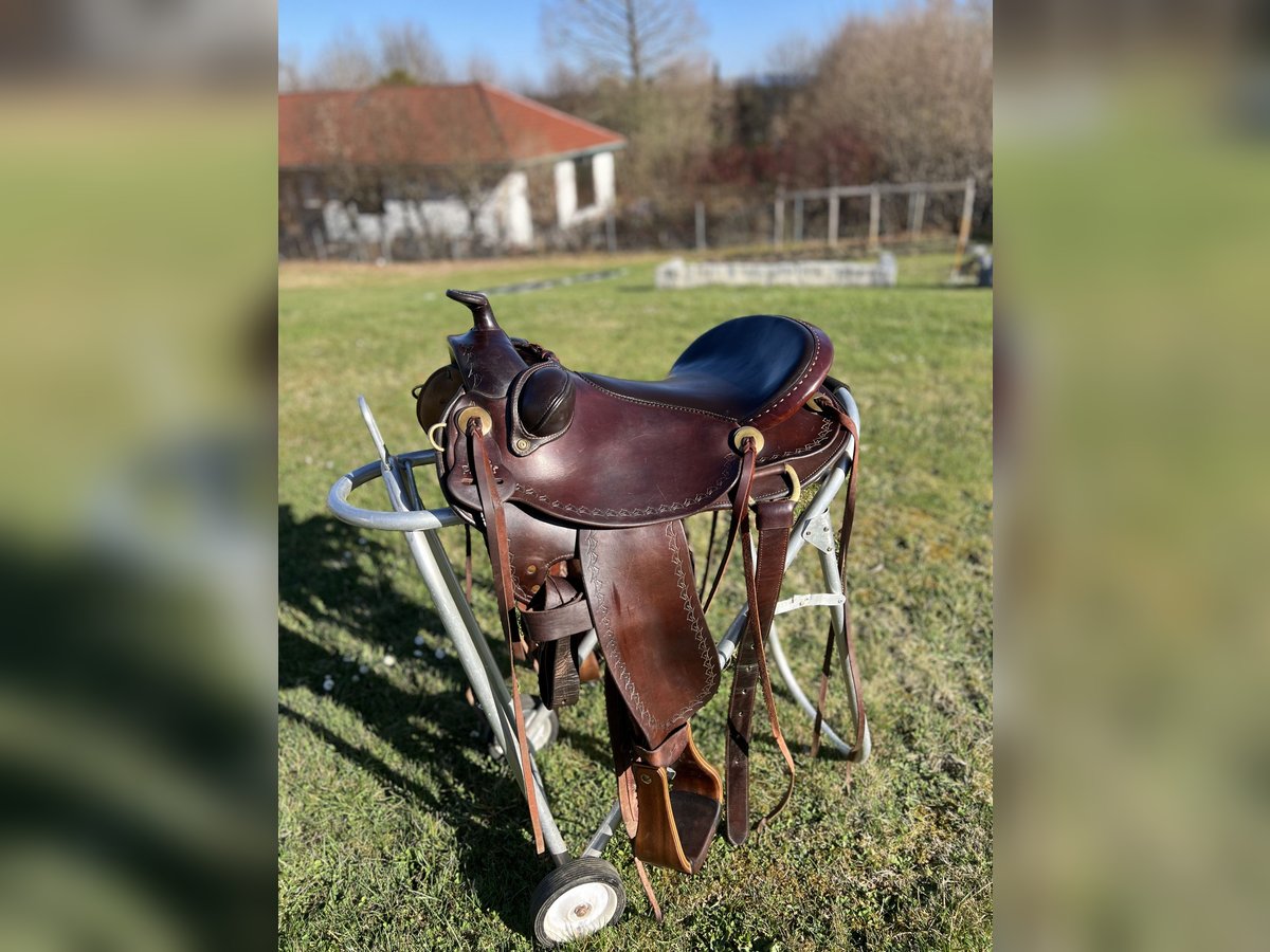 Equiflex Natural Performer Parelli 