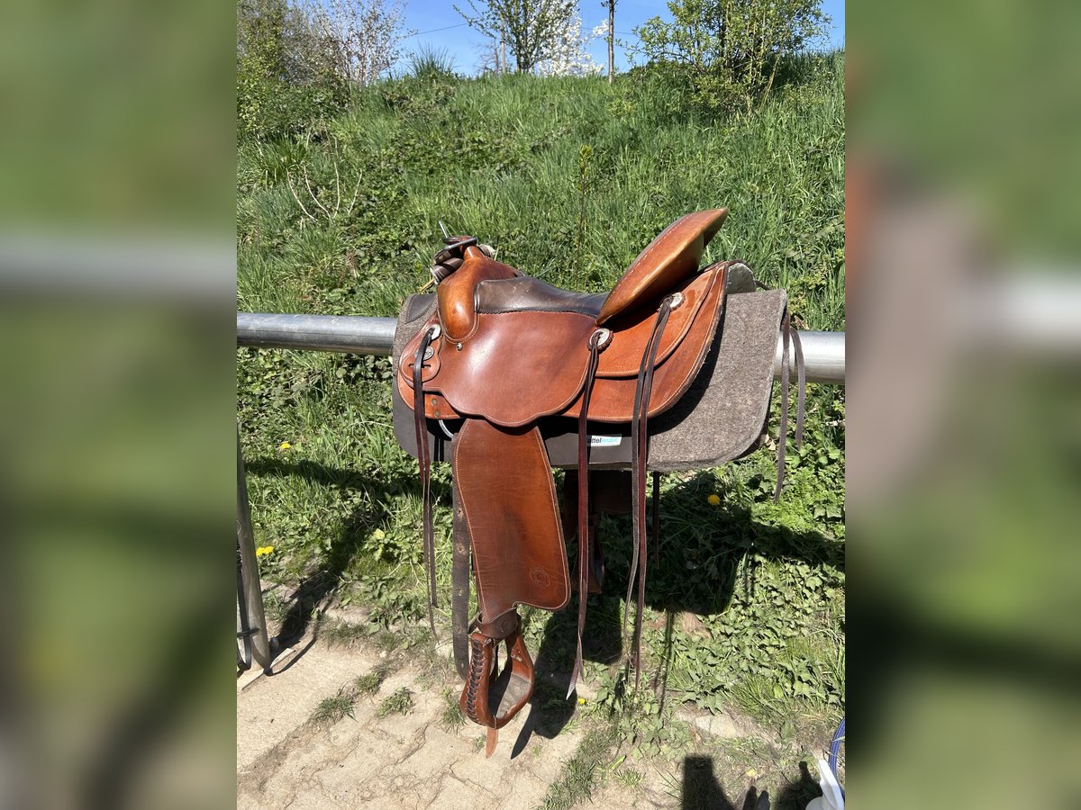 Neuwertiger Equiflex Sattel 54/16 - VB