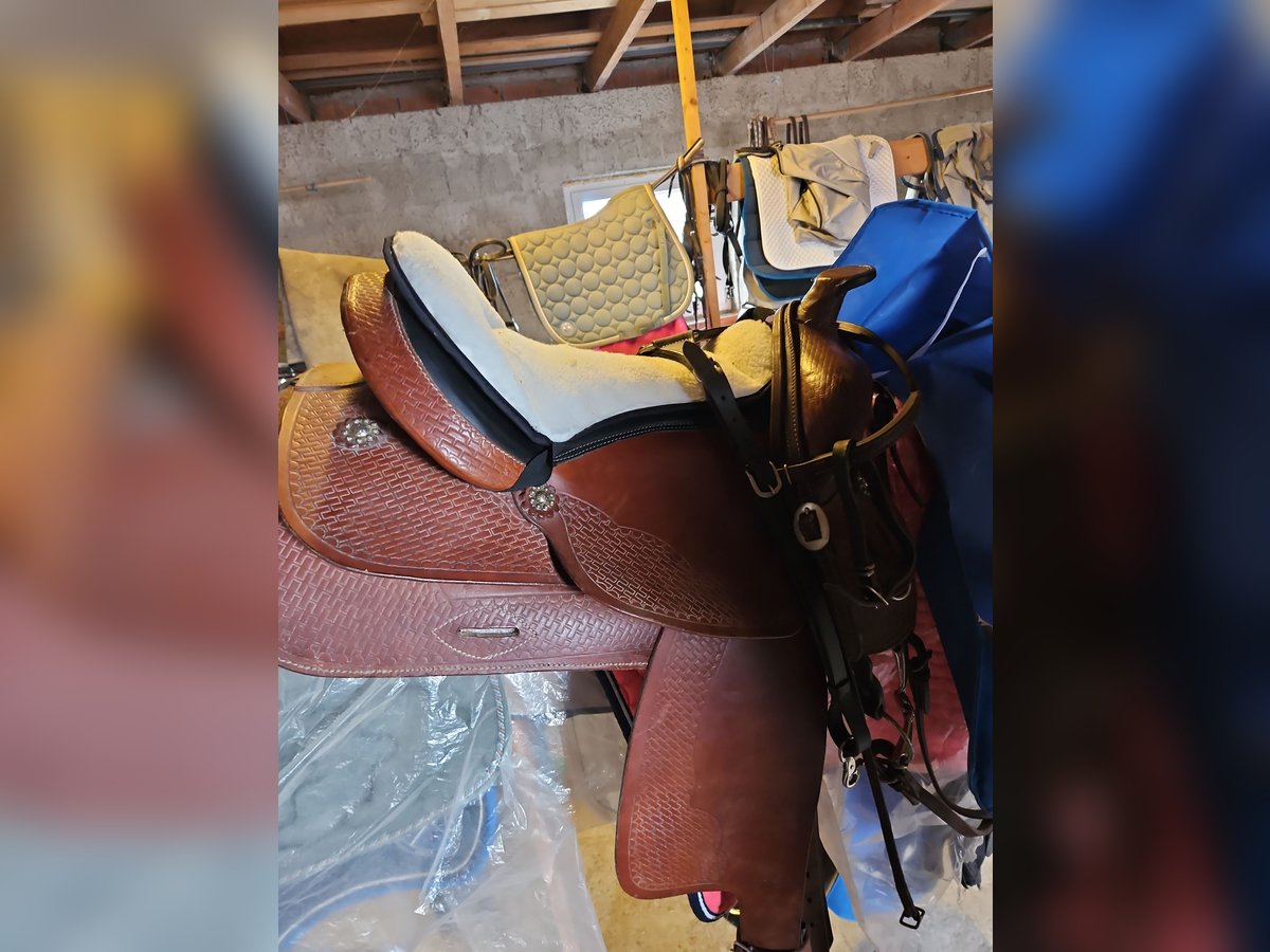 Vollblut/Pony Westernsattel 