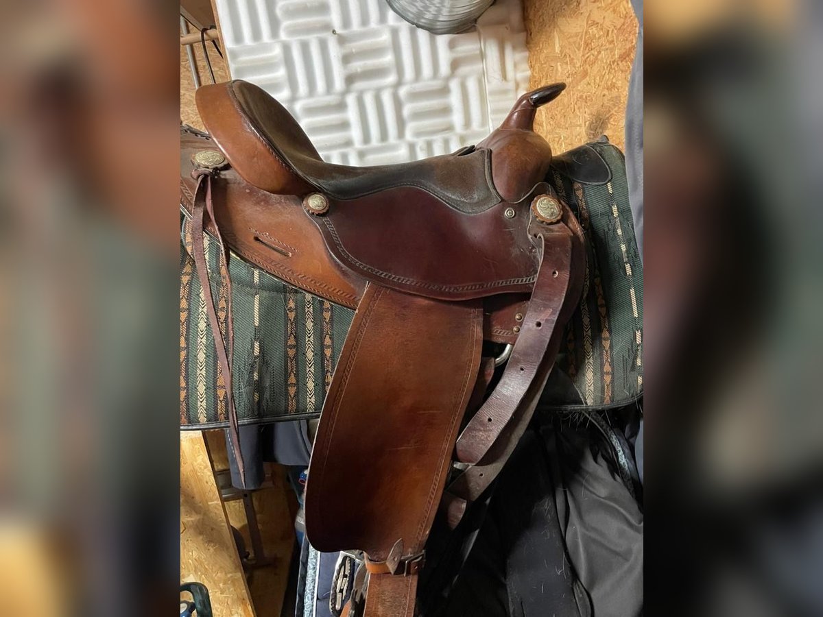 Westernsattel Big Horn