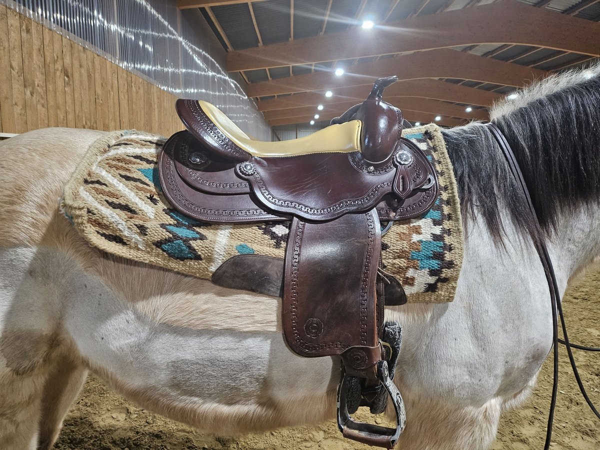 Westernsattel Continental Equiflex Baum  72 Sitzgröße 16"
