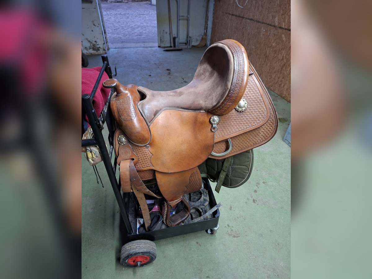 Westernsattel continental 