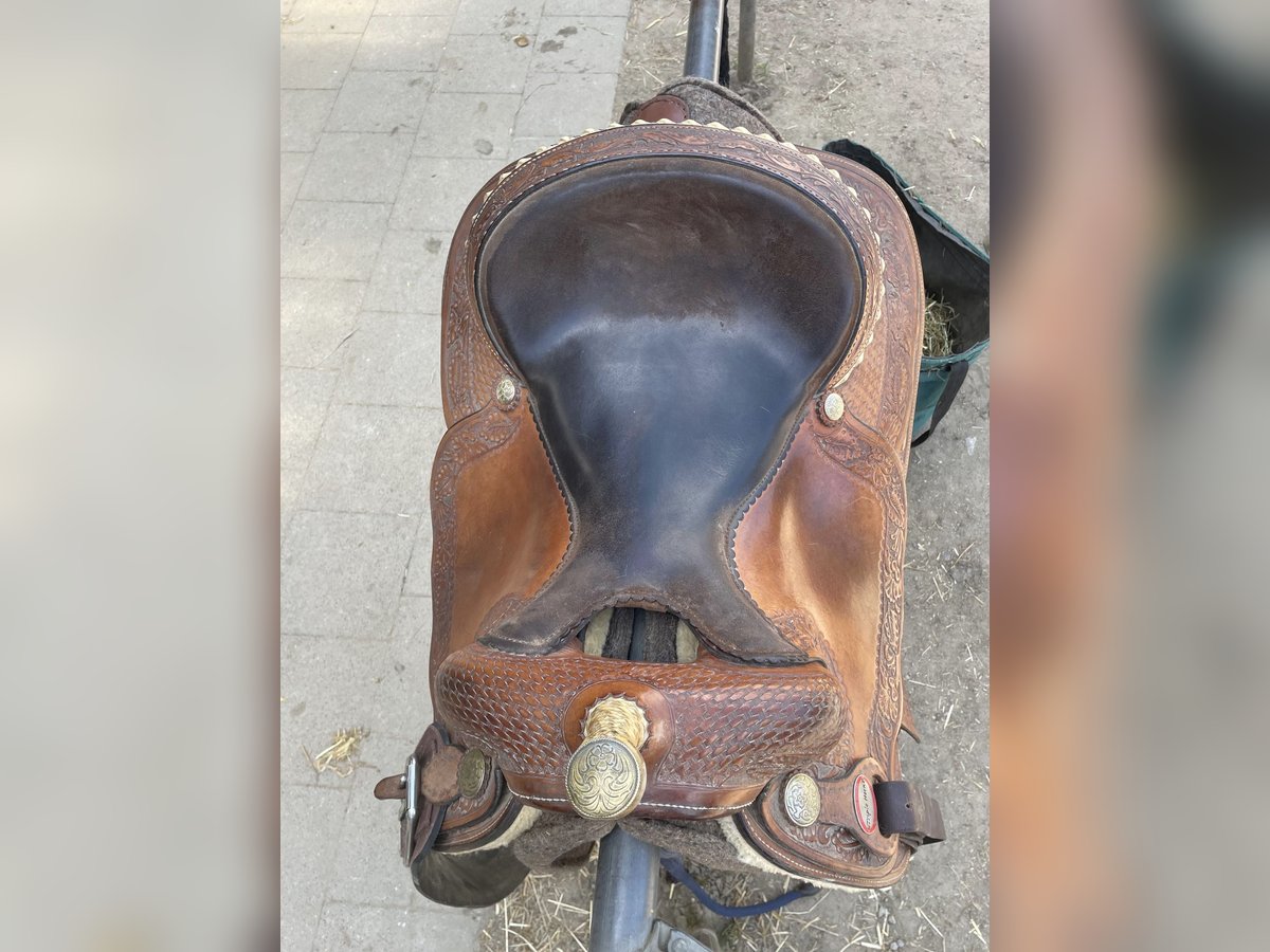 Westernsattel zu verkaufen 