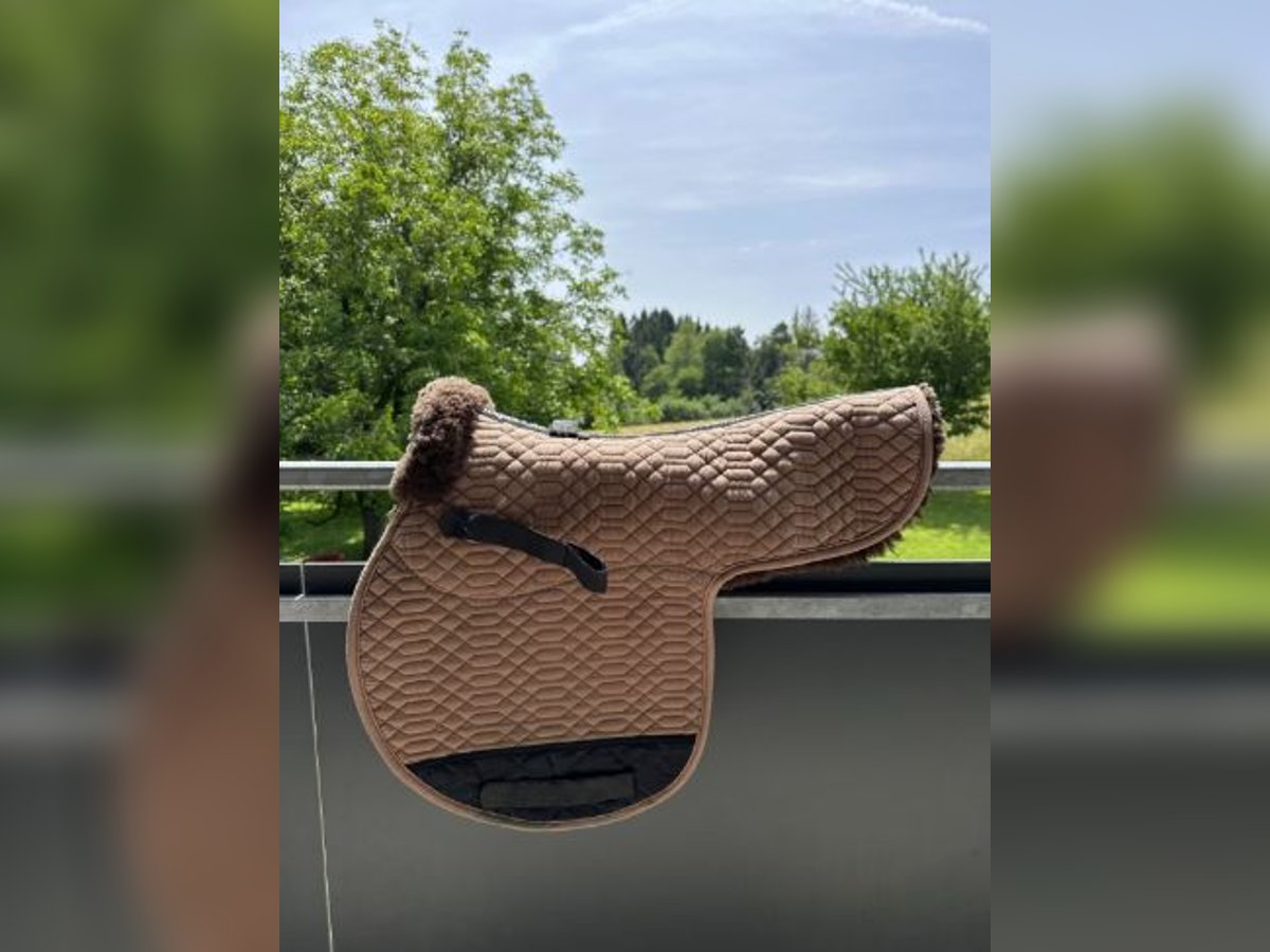 Lammfell-Satteldecke der Marke Engel Reitsport l Farbe Camel