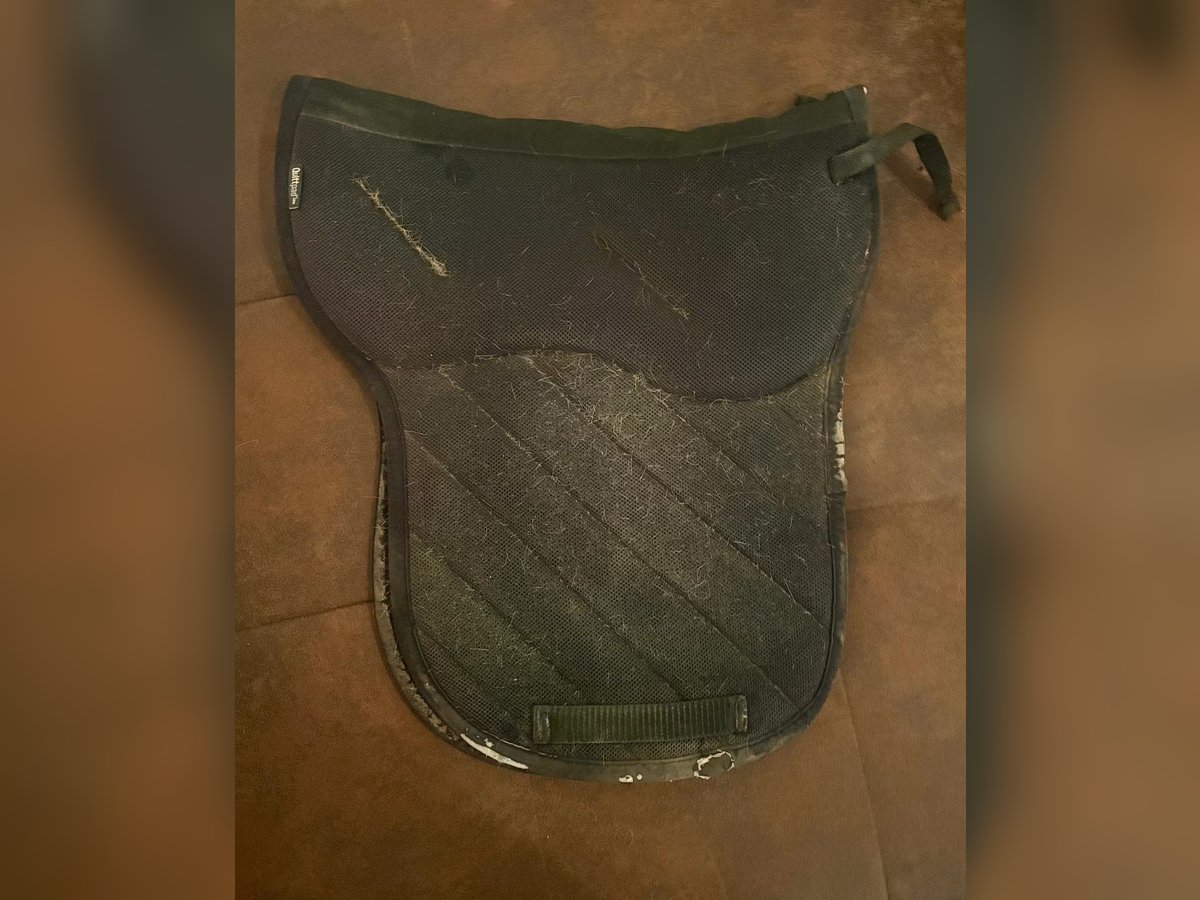 Quittpad PS Sattel Größe M Quittpad PS Sattel Größe M