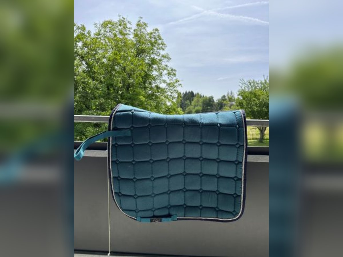 Dressur Schabracke l Farbe Petrol l HKM