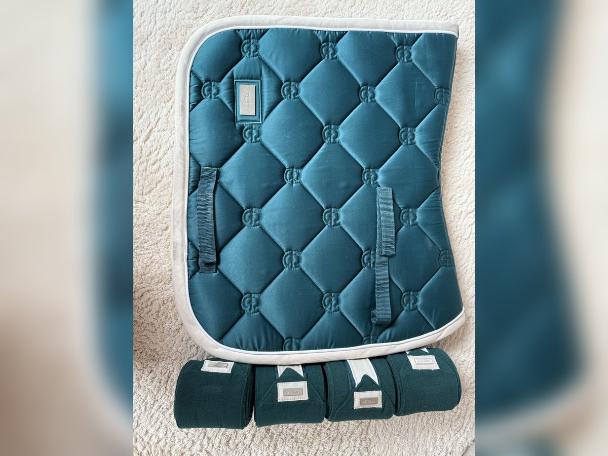 Dressurschabracke Set 
