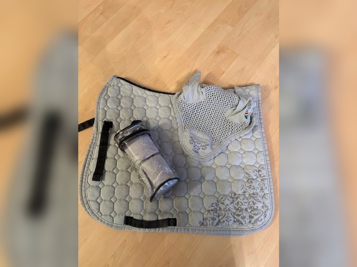 Equiline Set Grau Equiline Set Grau