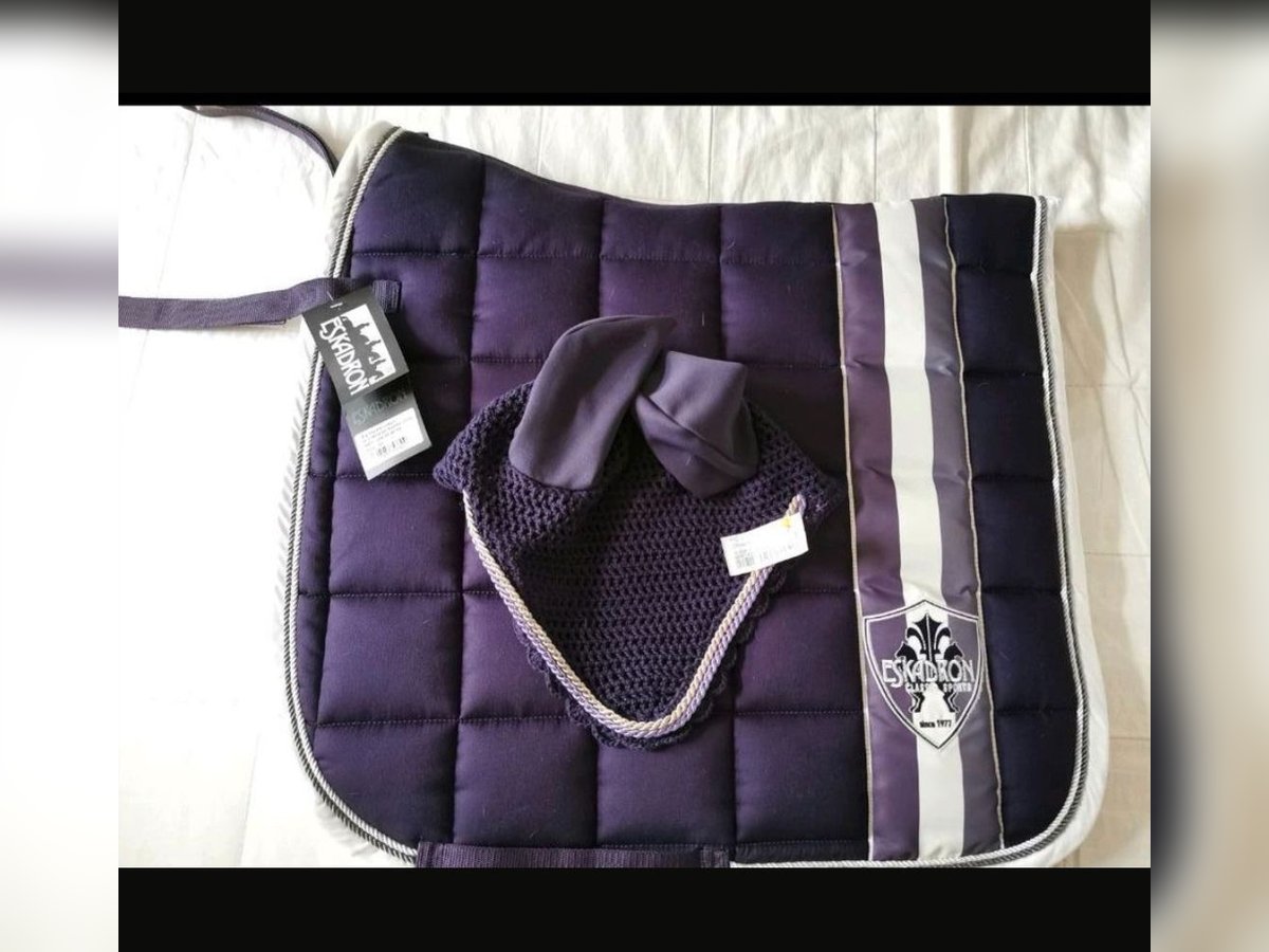 Eskadron Big Square lila Schabracke + Fliegenhaube