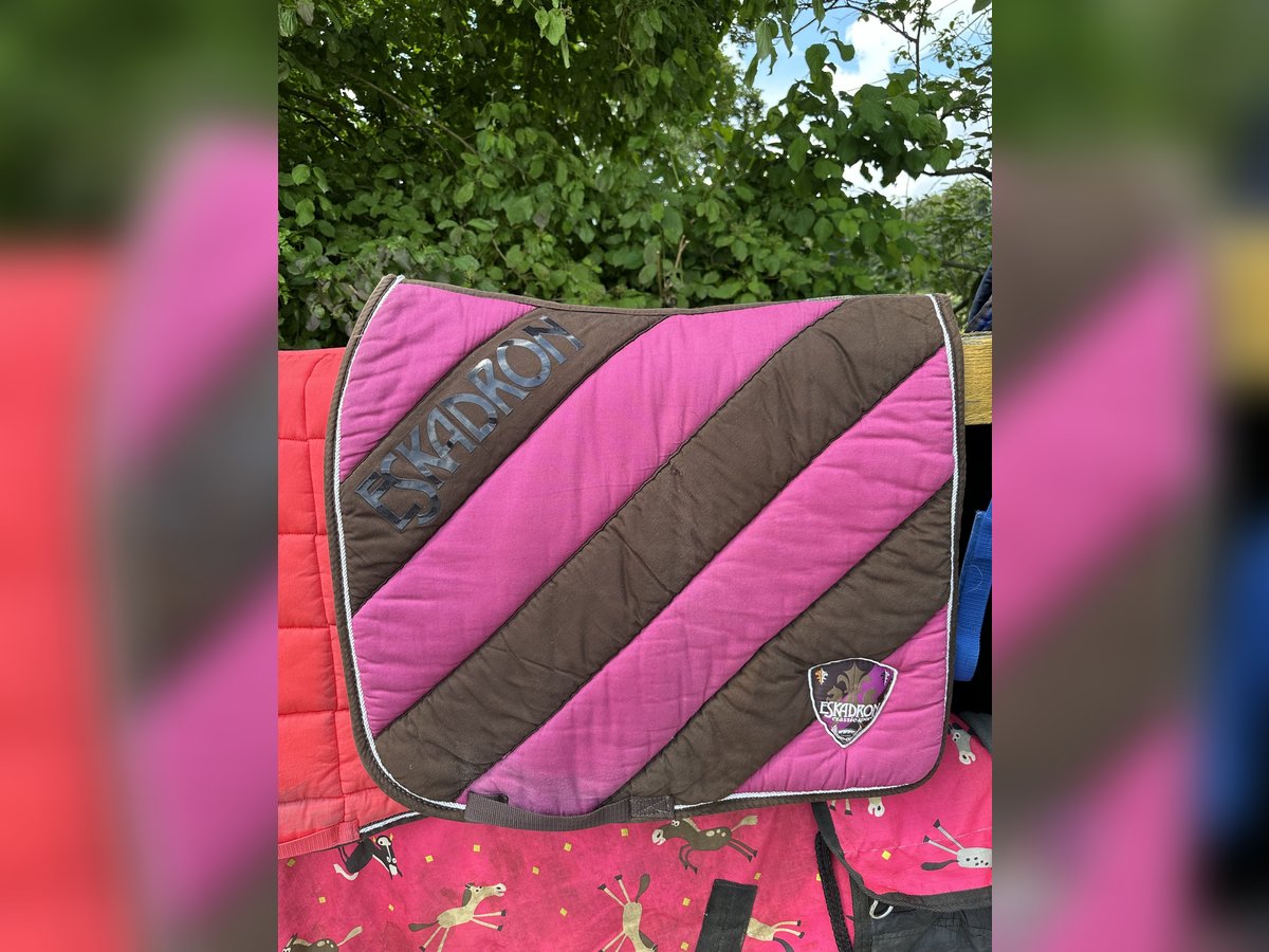 Eskadron Coffee Berry Pad Dressur Schabracke Eskadron Coffee Berry Pad Dressur Schabracke