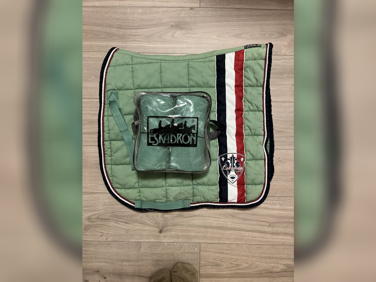 Eskadron Set Grün Bandagen Schabracke Big Square DL Eskadron Set Grün Bandagen Schabracke Big Square DL