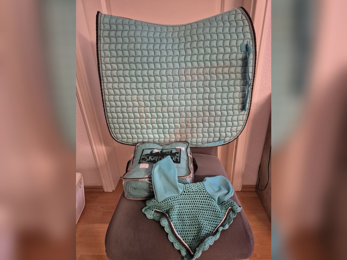 Eskadron Set mint WB Dressur
