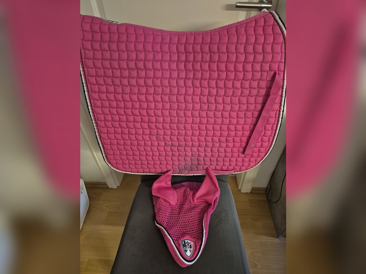 Eskadron Set pink WB Dressur