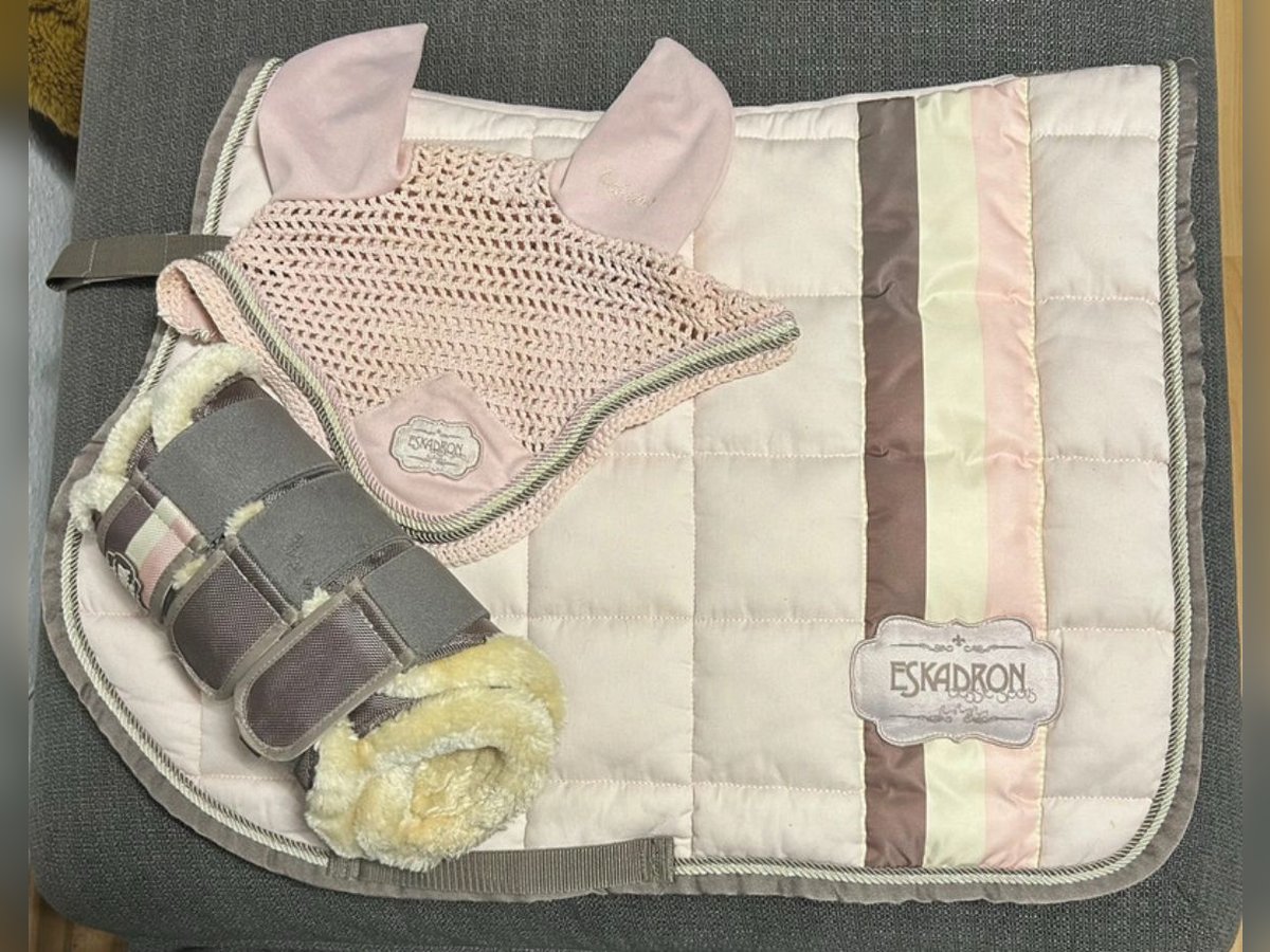 Eskadron Set Powderrose 