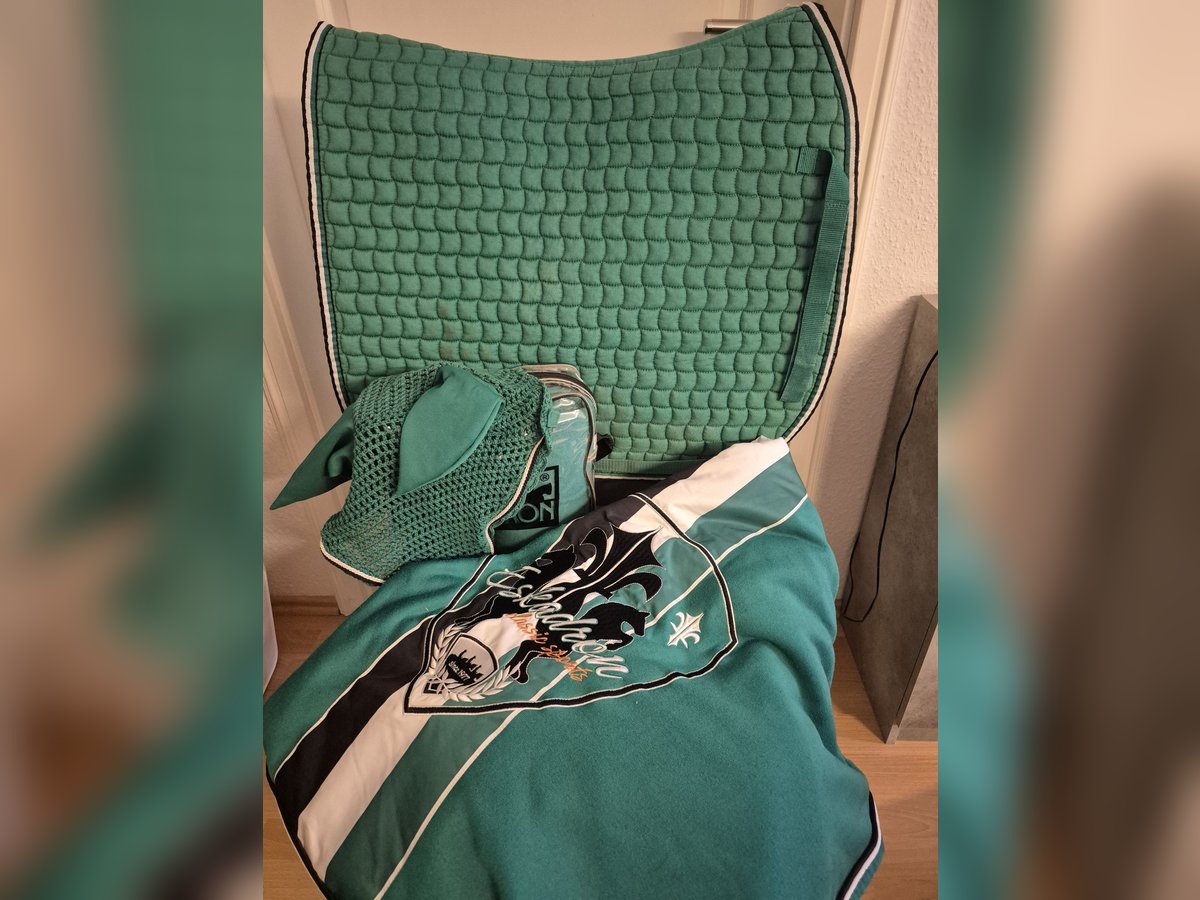 Eskadron Set smaragdgreen WB Dressur L (145 cm)
