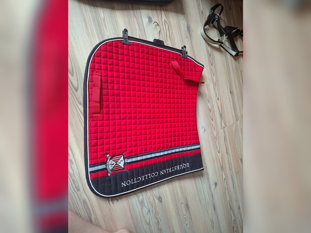 Felix Bühler "Equestrian Collection" Kirschrot Dressur Felix Bühler "Equestrian Collection" Kirschrot Dressur
