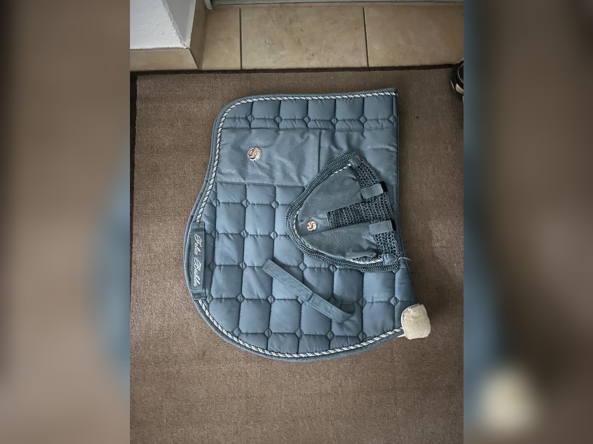 Felix Bühler Schabracke und Fliegenhaube